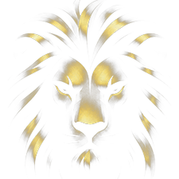 TikLionX