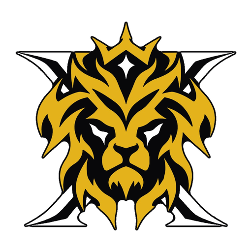 TikLionX